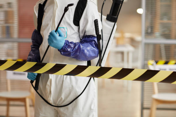 Professional Hoarding Cleanup technician working in Bergheim, TX